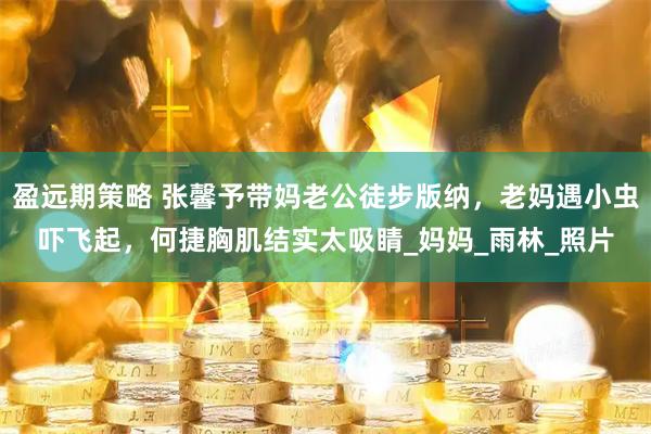盈远期策略 张馨予带妈老公徒步版纳，老妈遇小虫吓飞起，何捷胸肌结实太吸睛_妈妈_雨林_照片