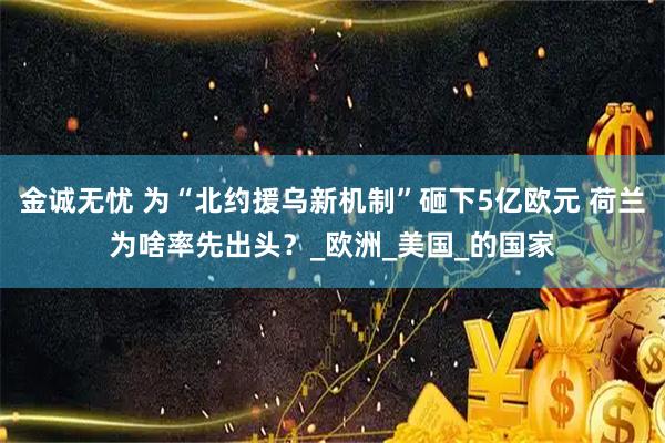 金诚无忧 为“北约援乌新机制”砸下5亿欧元 荷兰为啥率先出头？_欧洲_美国_的国家