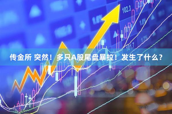 传金所 突然！多只A股尾盘暴拉！发生了什么？