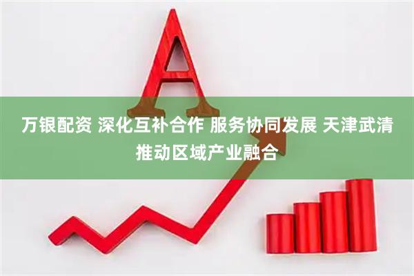 万银配资 深化互补合作 服务协同发展 天津武清推动区域产业融合