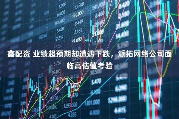 鑫配资 业绩超预期却遭遇下跌,派拓网络公司面临高估值考验