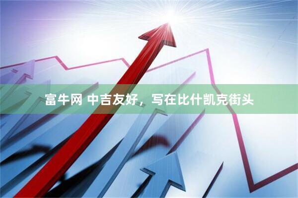 富牛网 中吉友好，写在比什凯克街头
